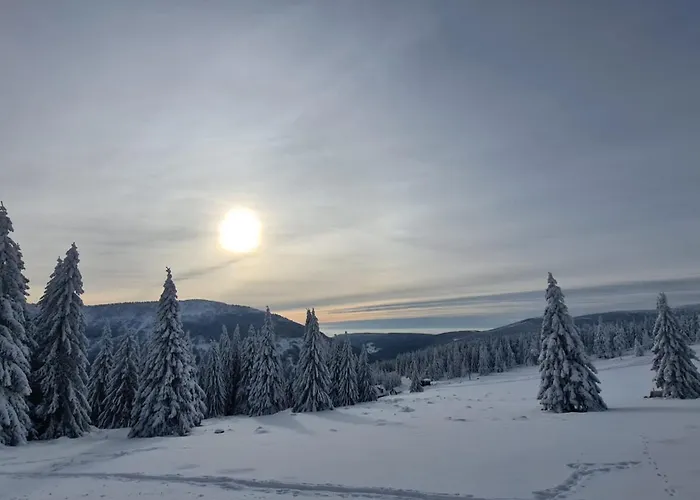 Vakantiehuis Harta Vrchlabí