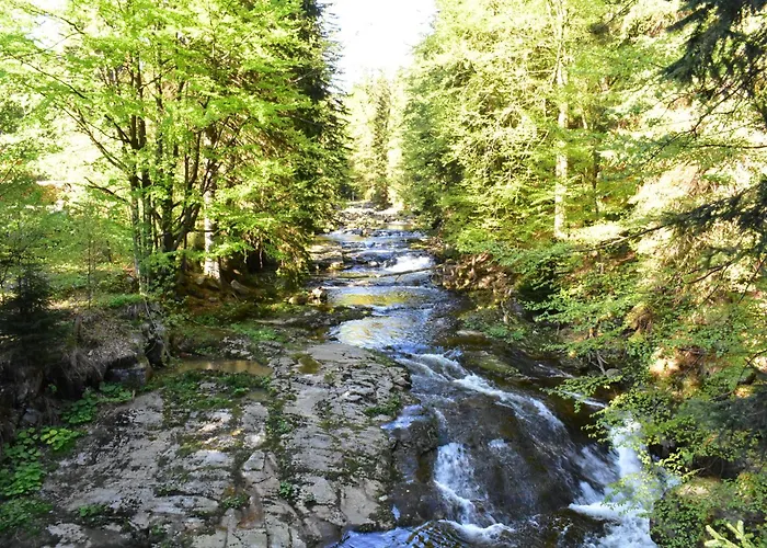Vakantiehuis Harta